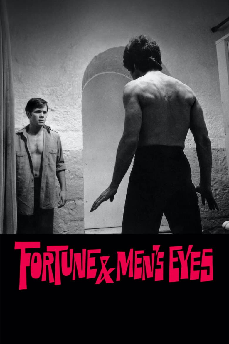 Fortune and Men's Eyes poster