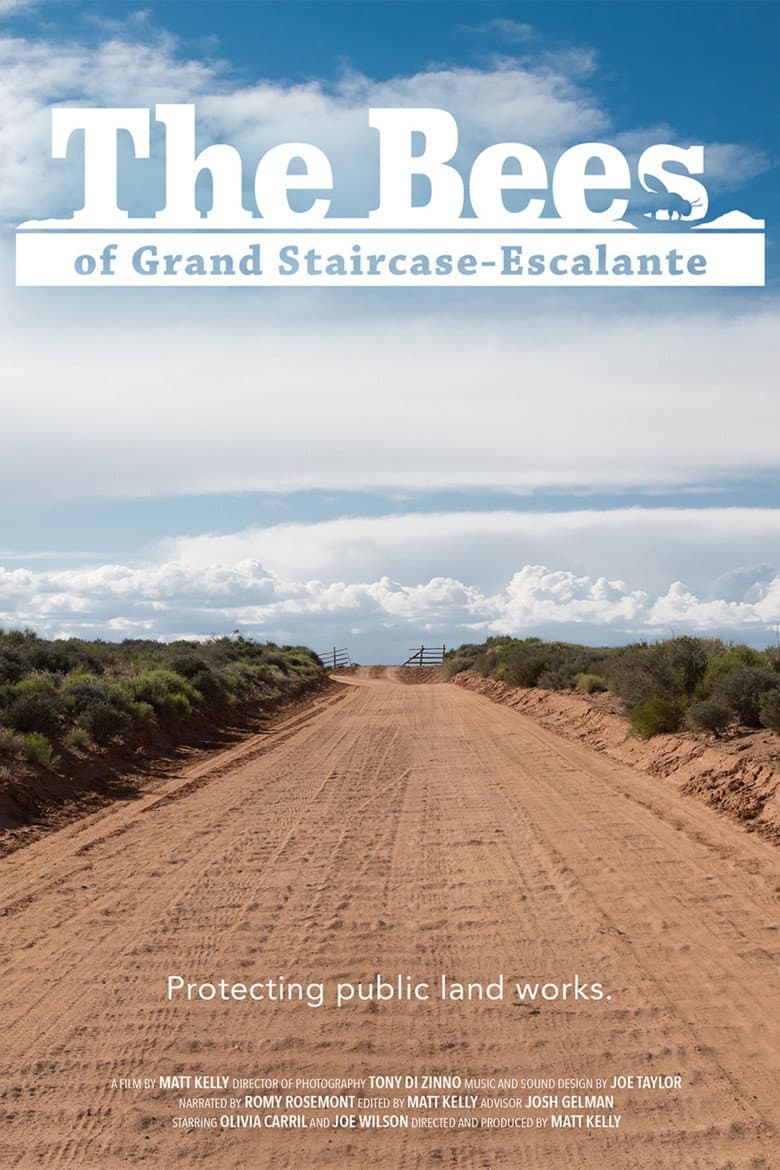 The Bees of Grand Staircase-Escalante poster