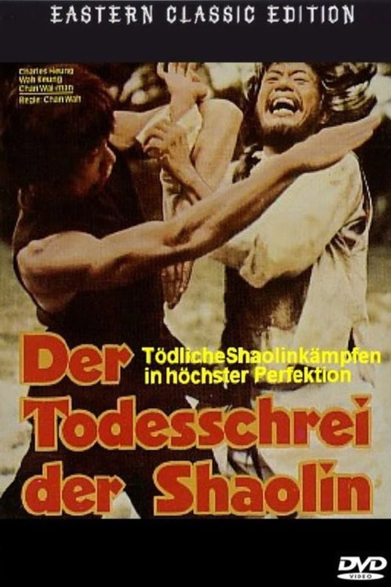 Mysterious Footworks of Kung Fu poster