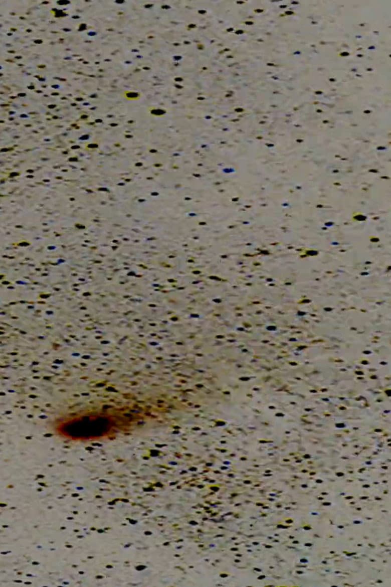 Halley’s Comet poster