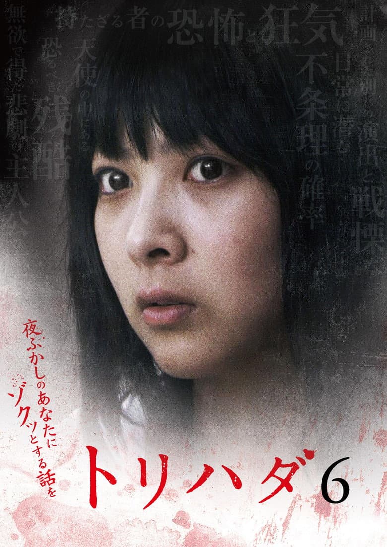 Torihada 6 ~ Yofukashi no anata ni zokutto suru hanashi wo~ poster