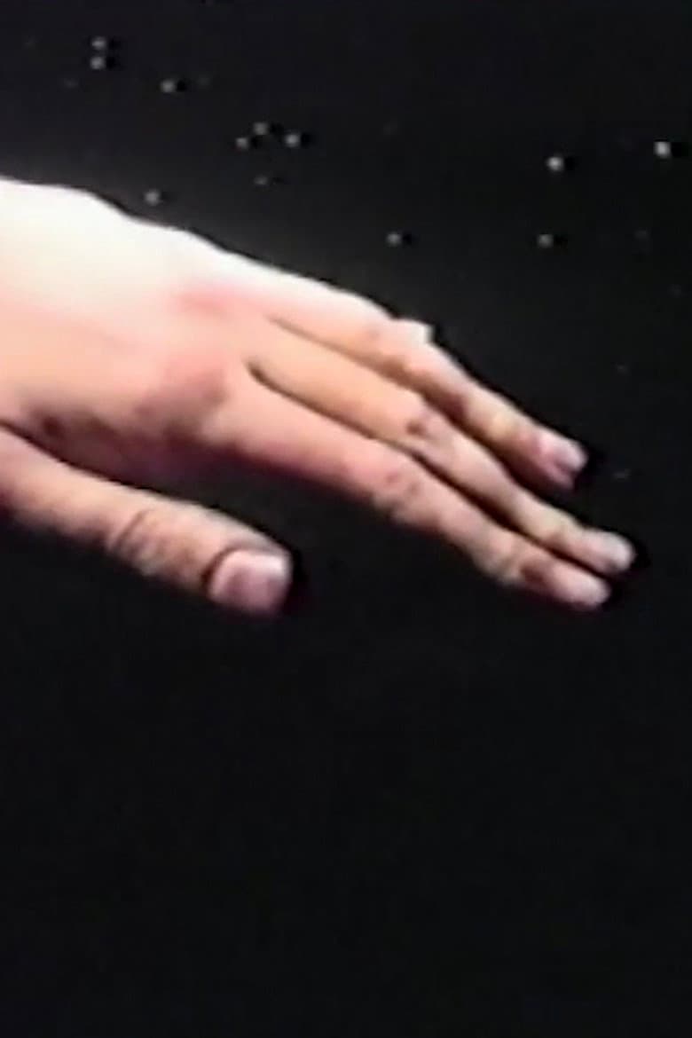 The Black Hole poster