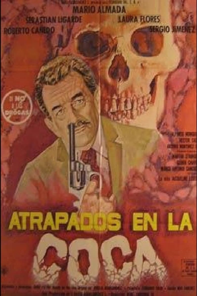 Atrapados en la coca poster