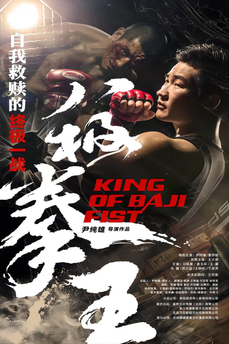 King of Baji Fist poster