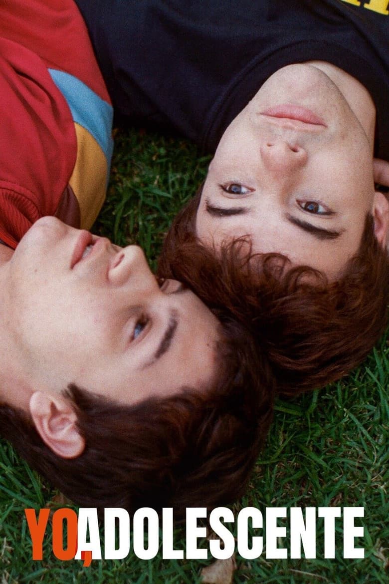 Memories of a Teenager poster
