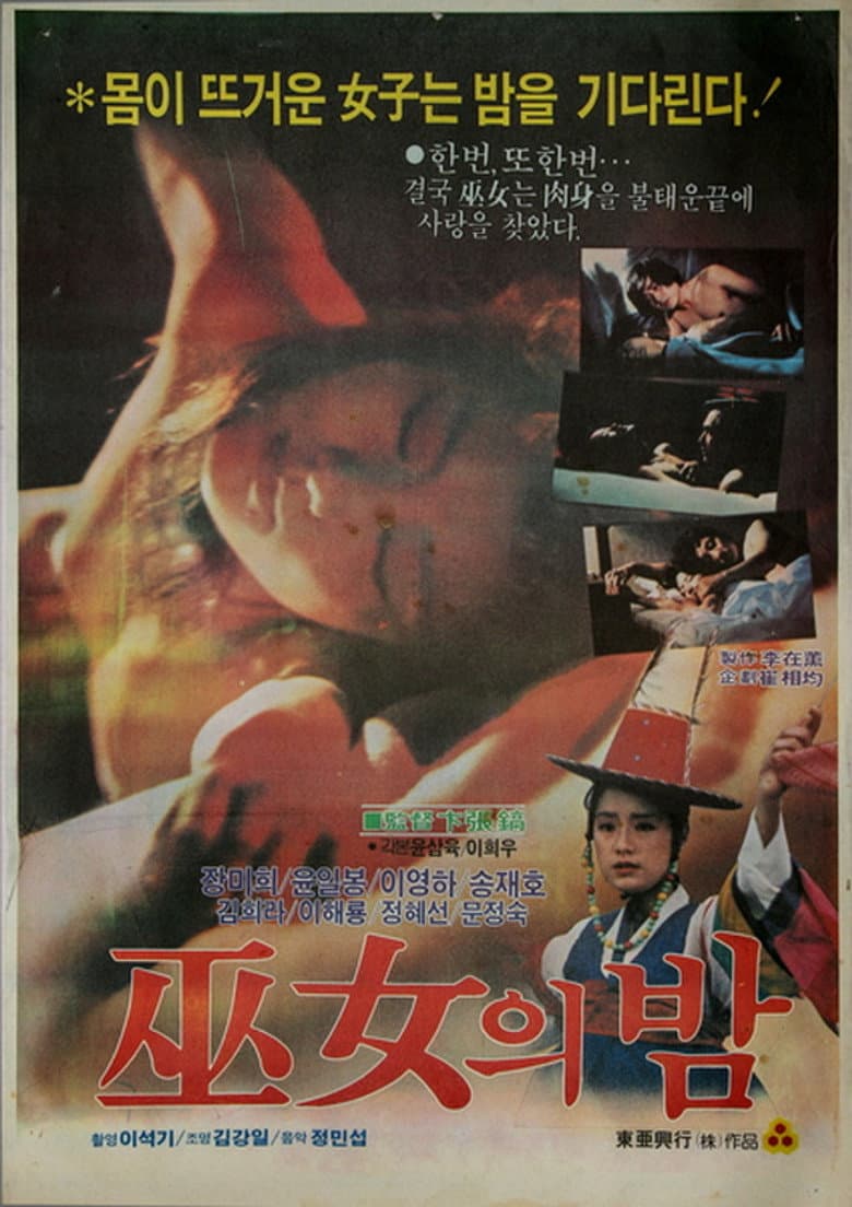 Night of a Sorceress poster
