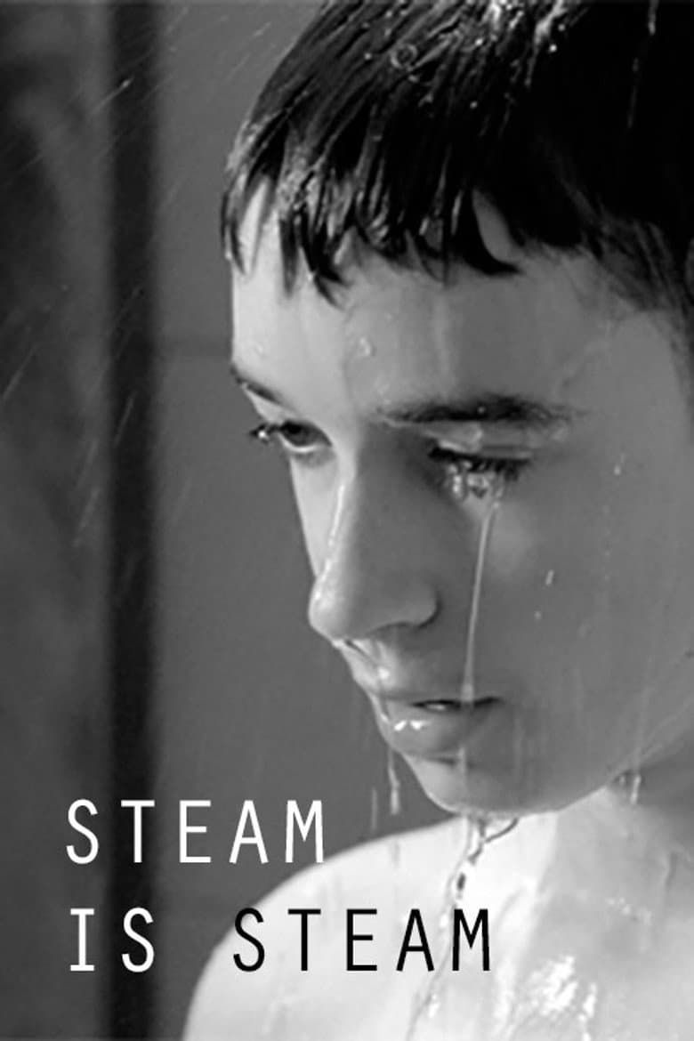 Steam is Steam poster