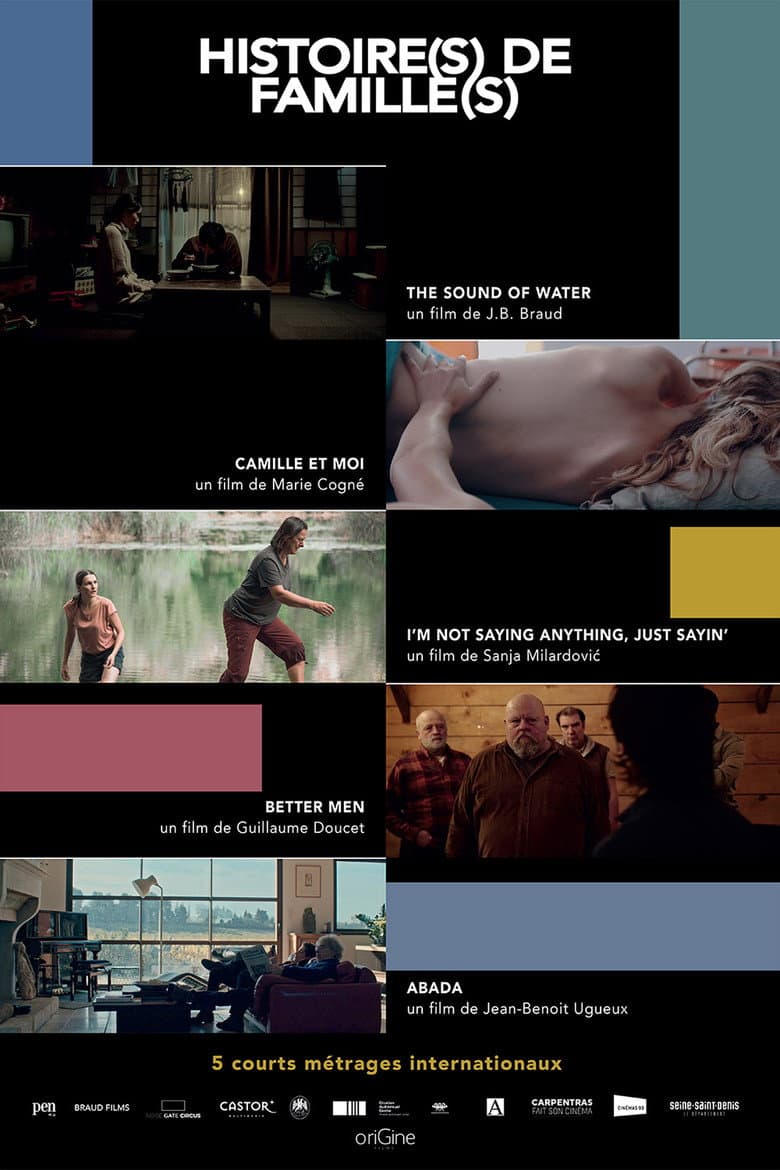 Histoire(s) de Famille(s) poster