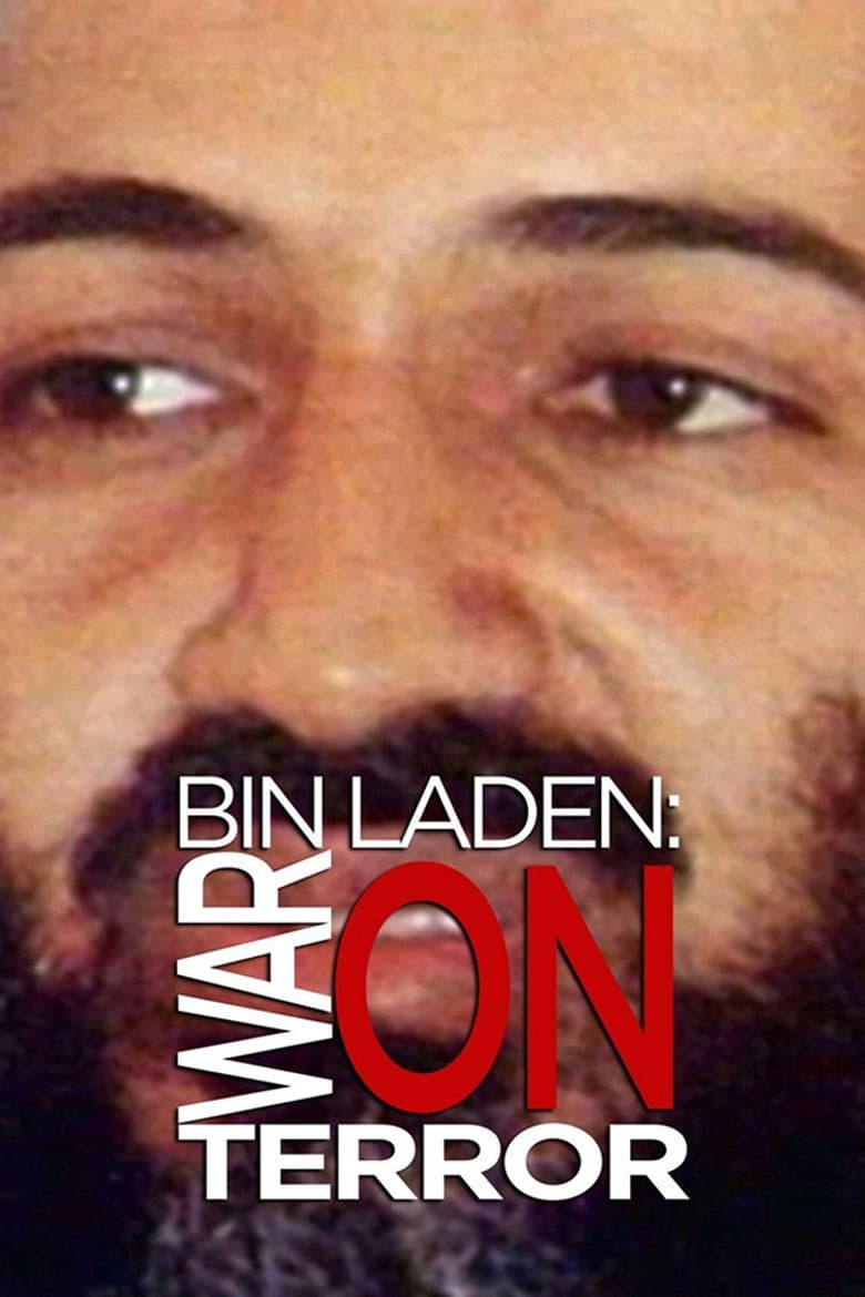 Bin Laden: War on Terror poster