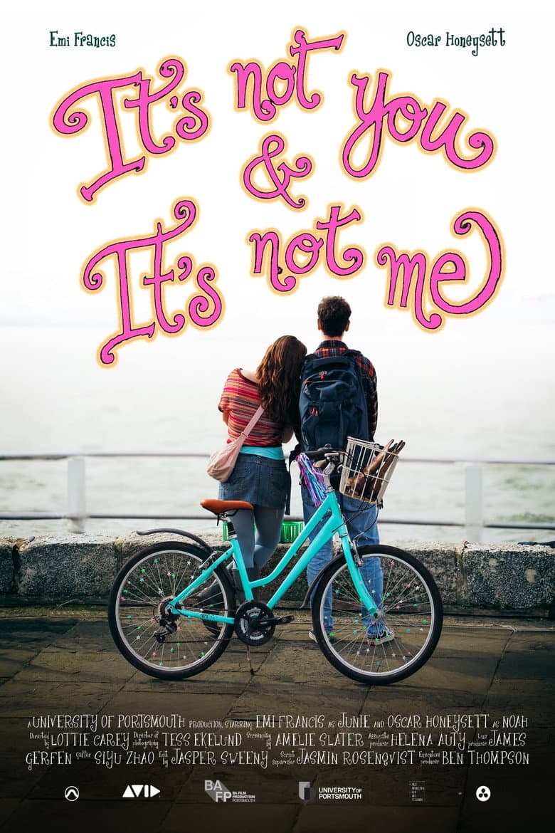 It's Not You & It's Not Me poster