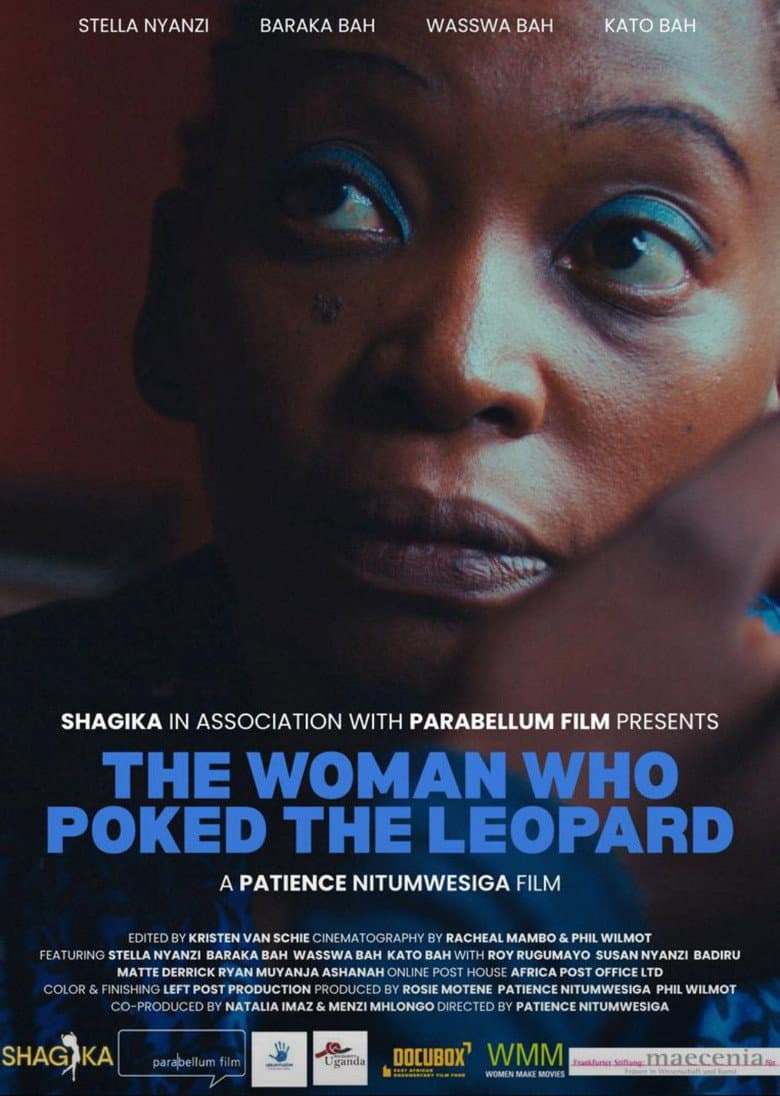 The Woman Who Poked the Leopard poster