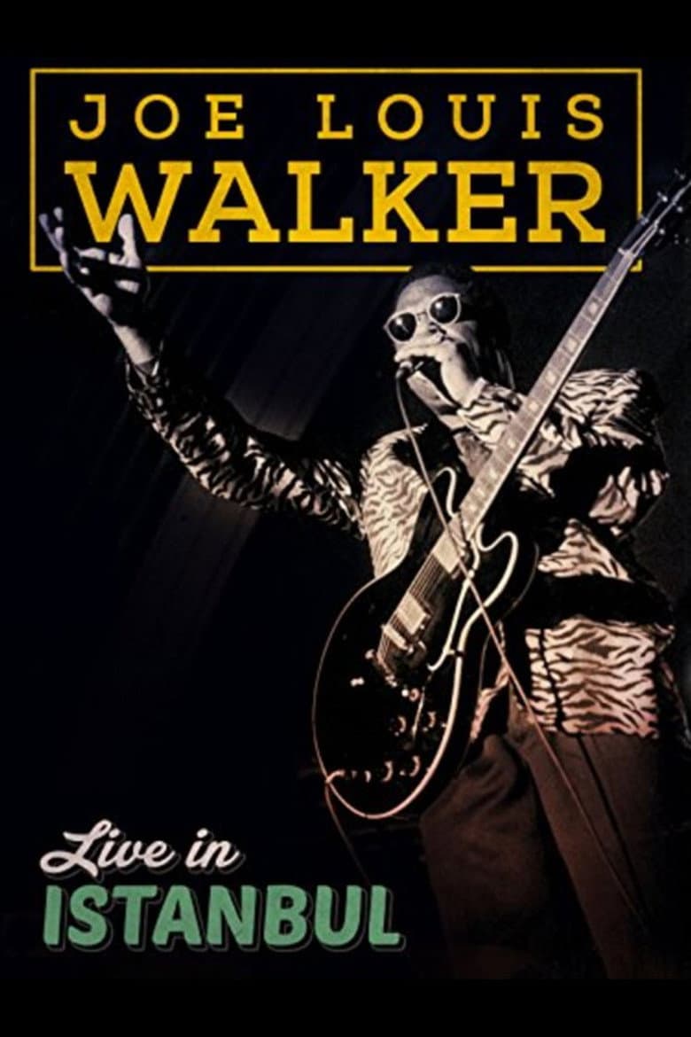 Joe Louis Walker: Live In Istanbul poster