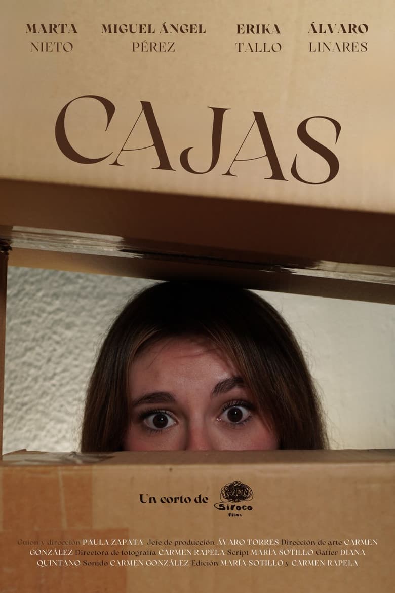 Cajas poster