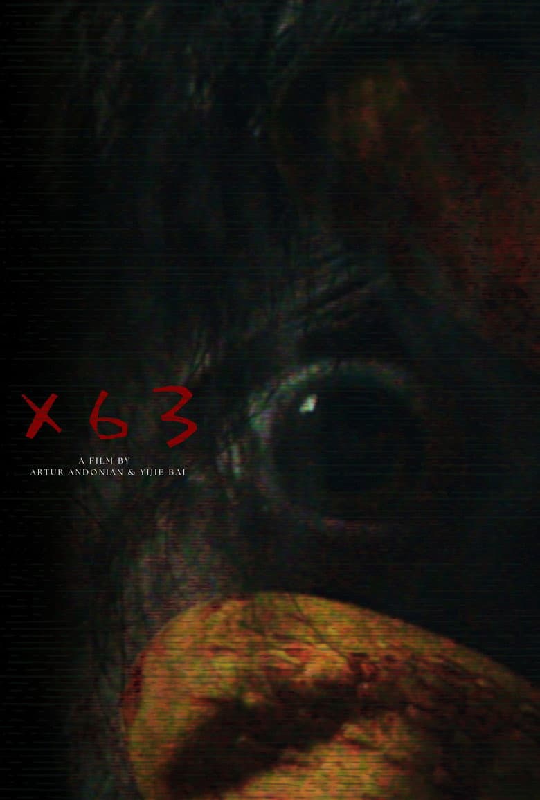 X63 poster