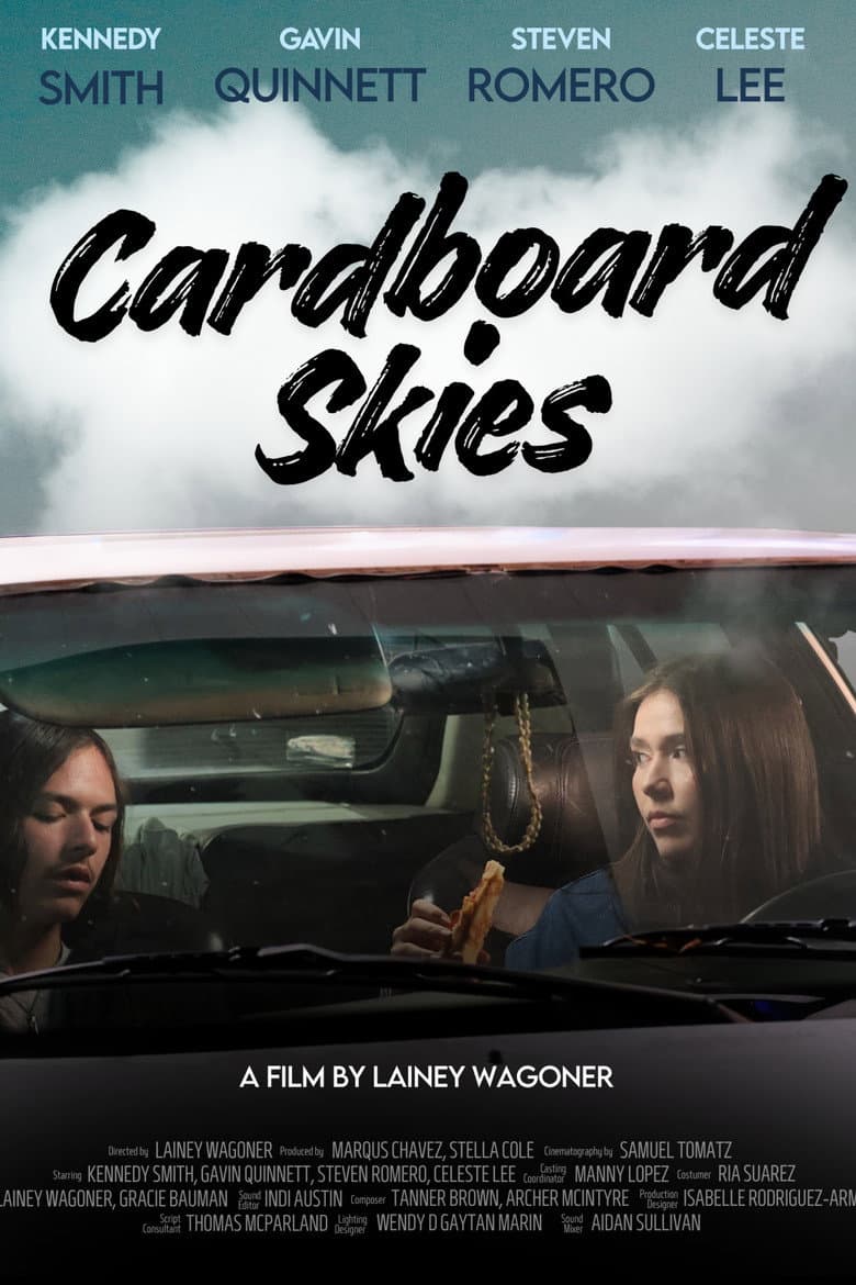 Cardboard Skies poster