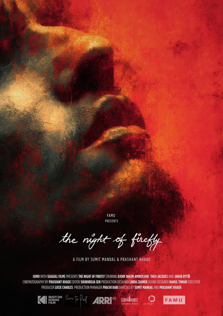 The Night of Firefly poster