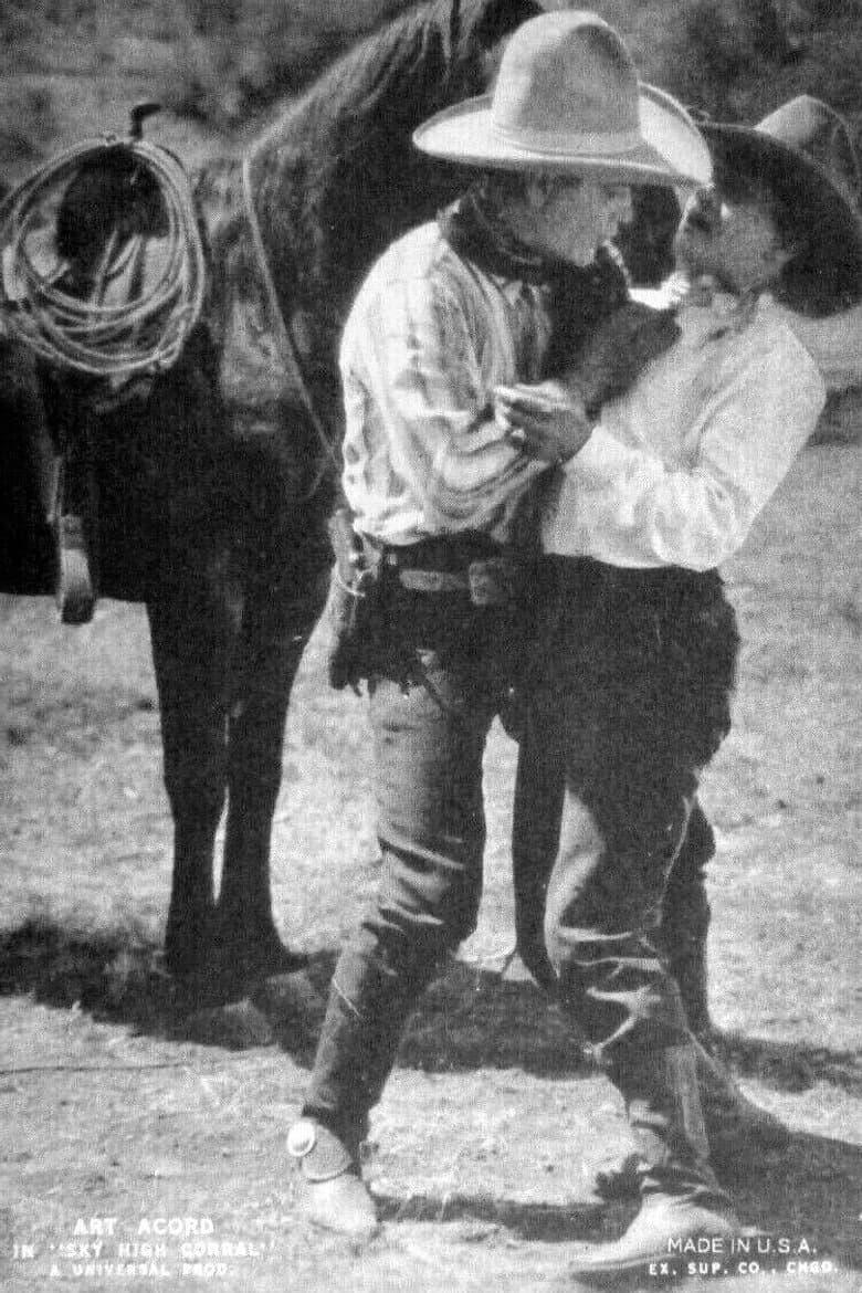 Sky High Corral poster