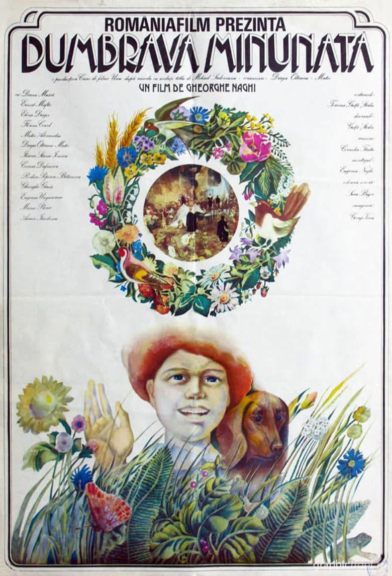 The Enchanted Grove poster