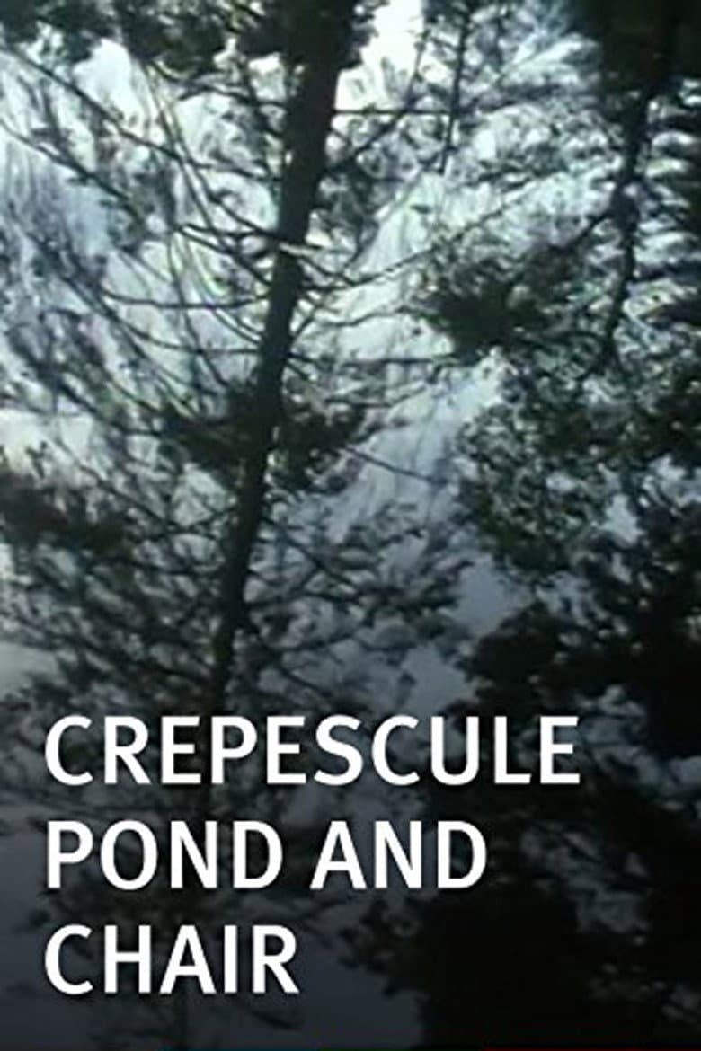 Crepescule Pond and Chair poster