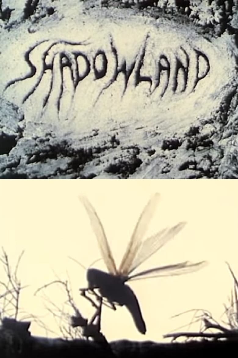 Shadowland poster