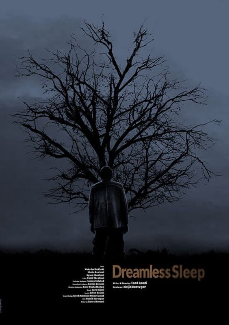 Dreamless Sleep poster
