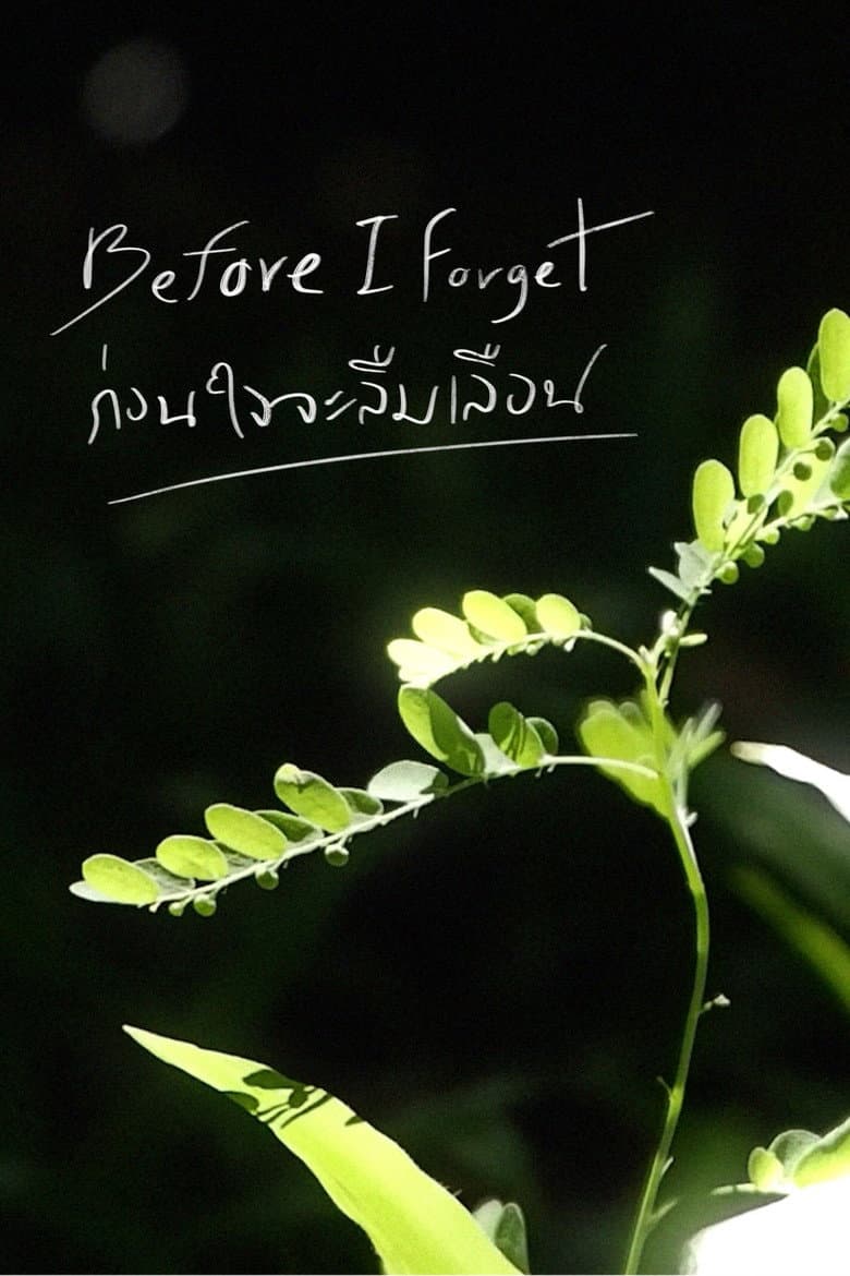 Before I Forget poster