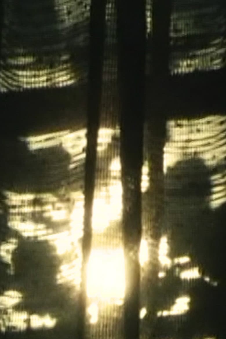 Canvas (Short Version) poster