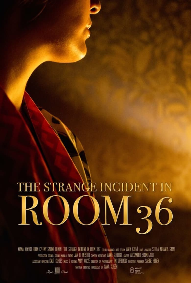 The Strange Incident In Room 36 poster
