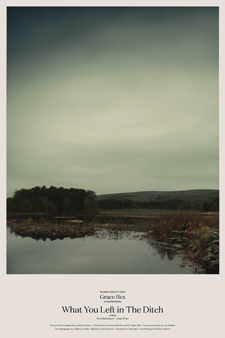 What You Left in the Ditch poster