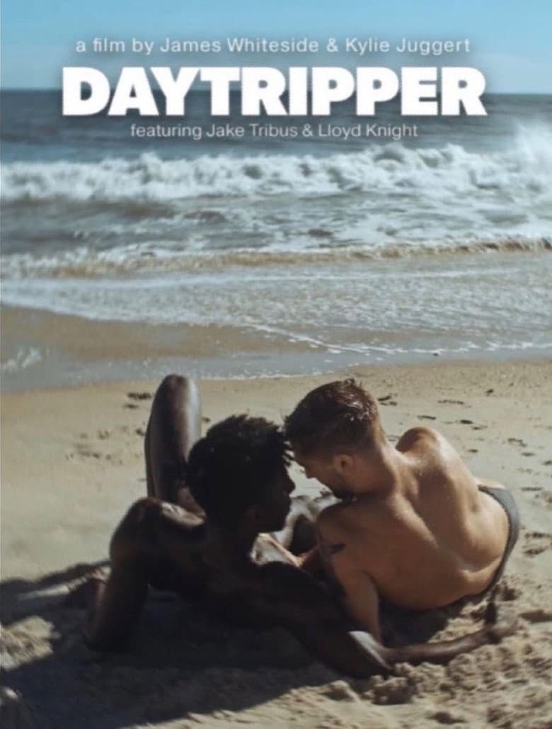 Daytripper poster