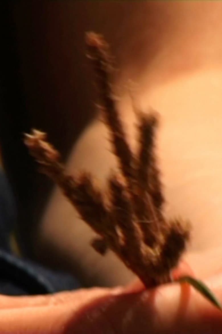 Donnez-Nous la Paix poster