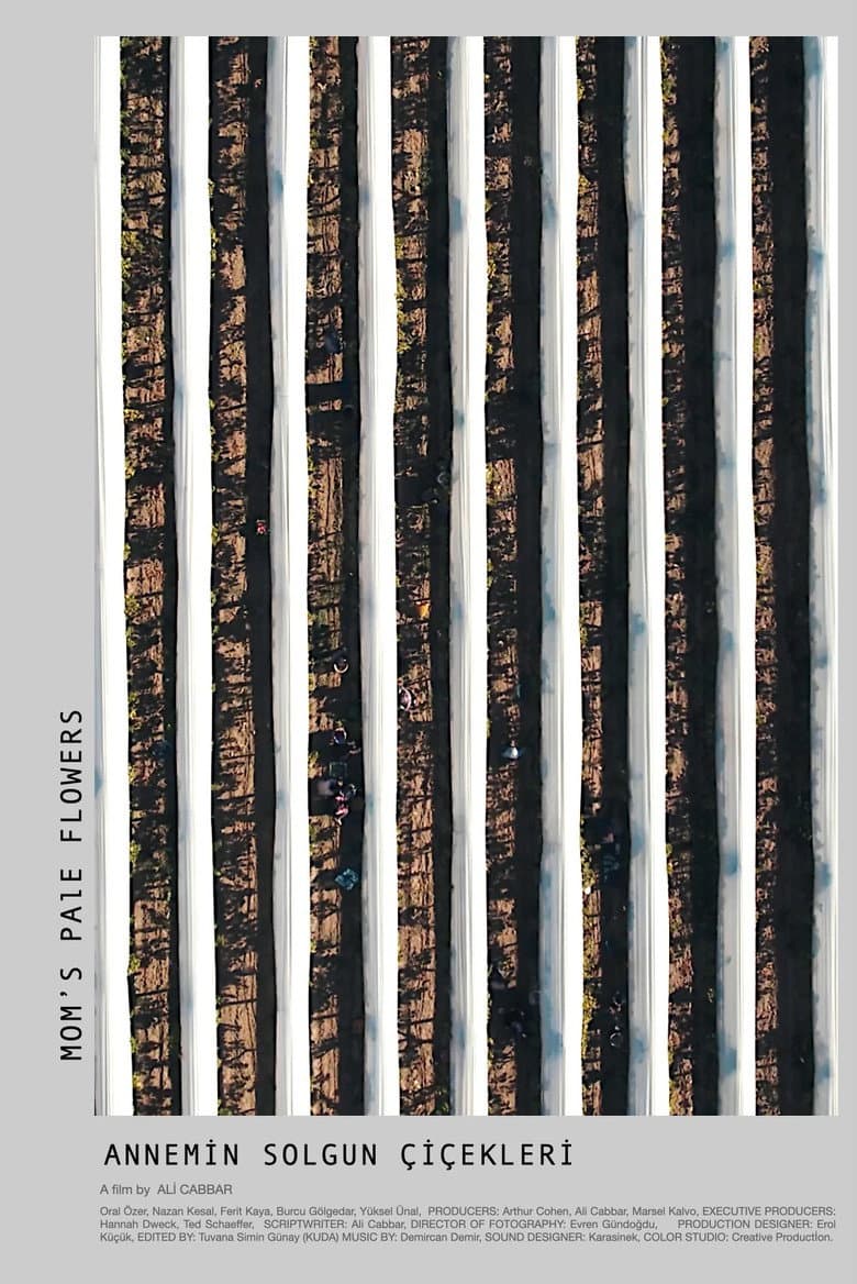 Mom's Pale Flowers poster