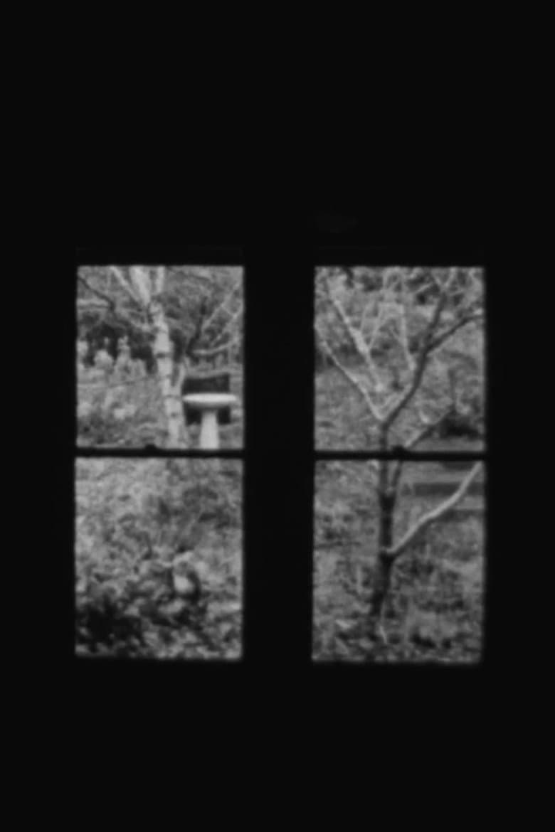 In and Out a Window poster