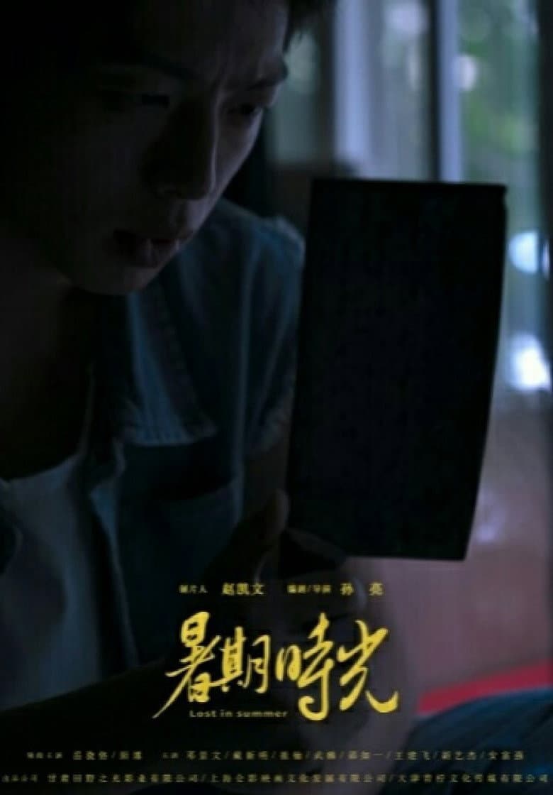 Lost in Summer poster