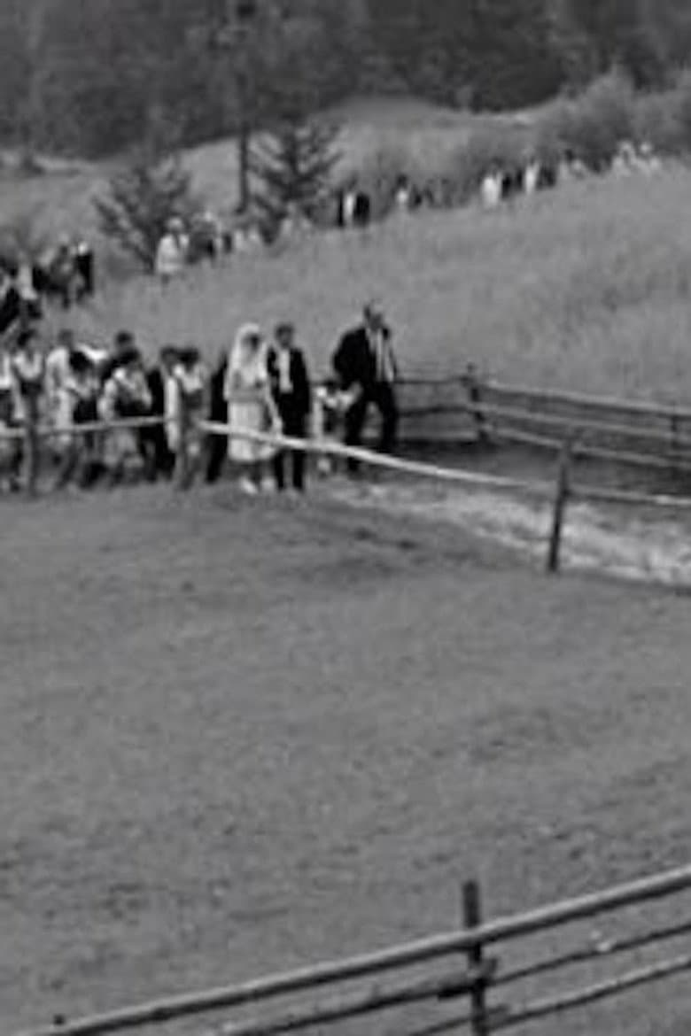 Sloping Fields poster