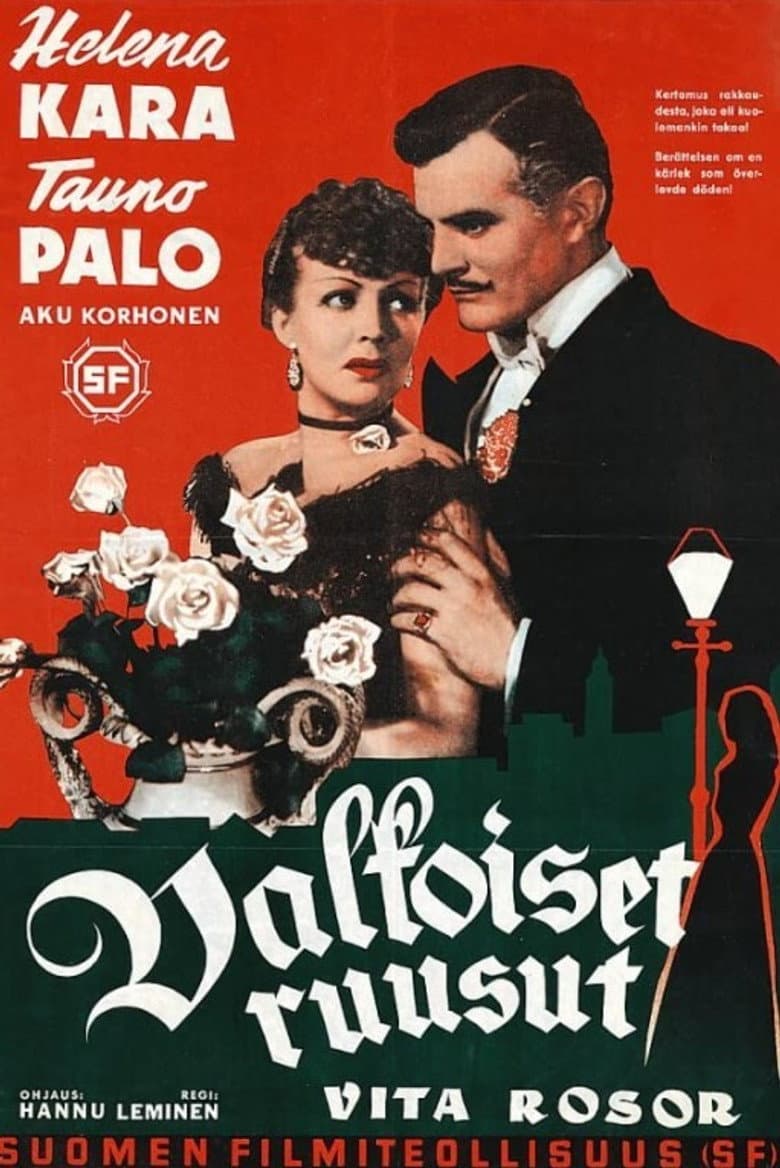 Valkoiset ruusut poster