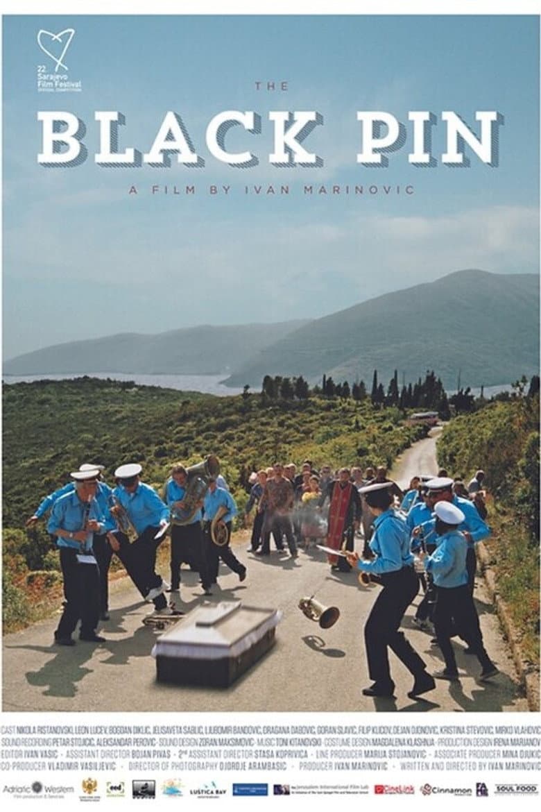 The Black Pin poster