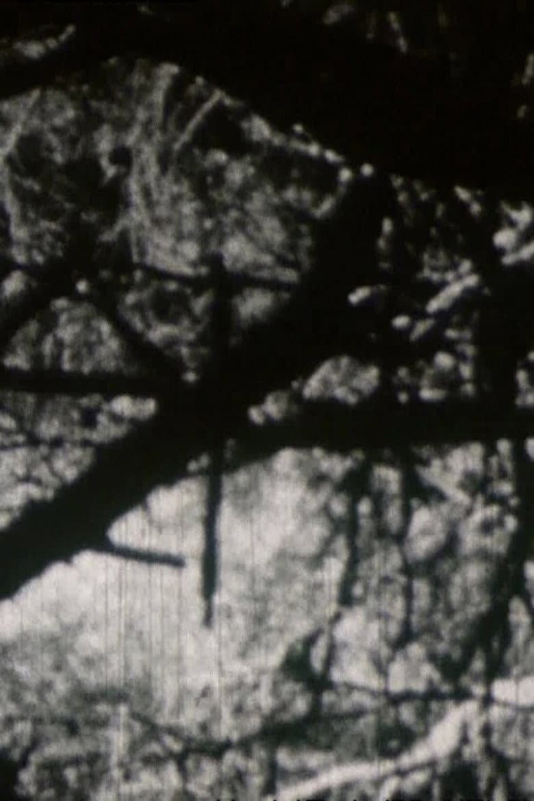 Crépuscule aux Aresquiers poster