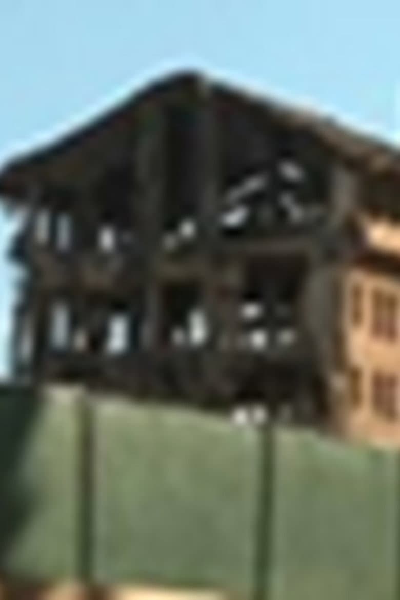 Ambassador Teardown poster