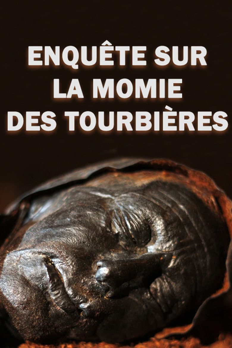 4,000-Year-Old Cold Case: The Body in the Bog poster