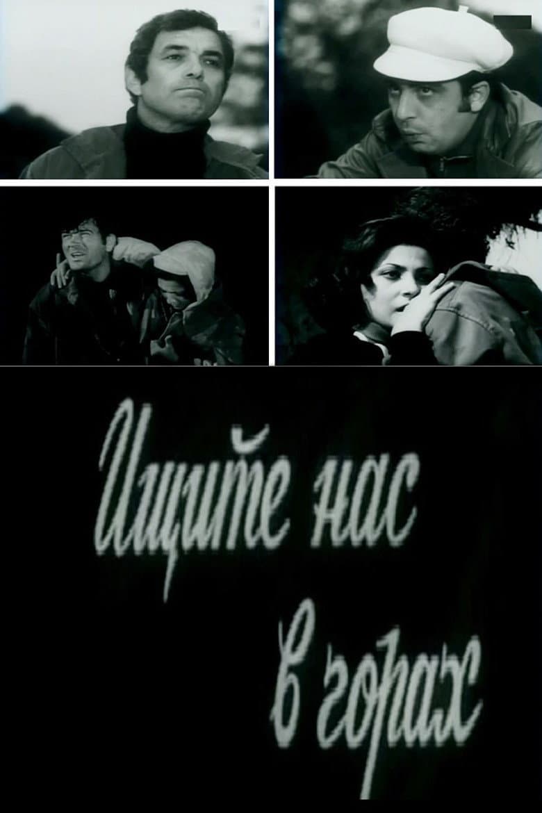 Find Us in the Mountains poster