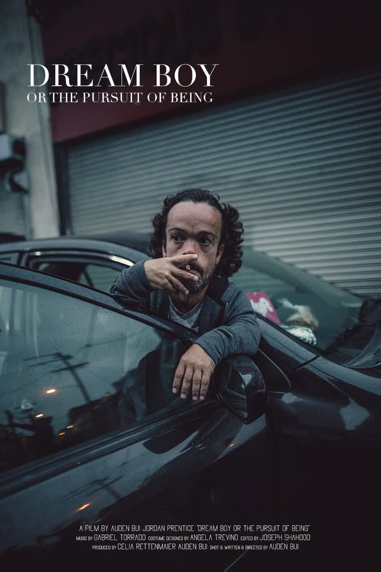 Dream Boy or the Pursuit of Being poster