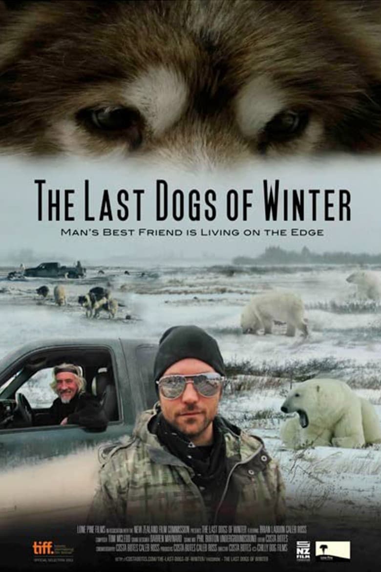 The Last Dogs of Winter poster