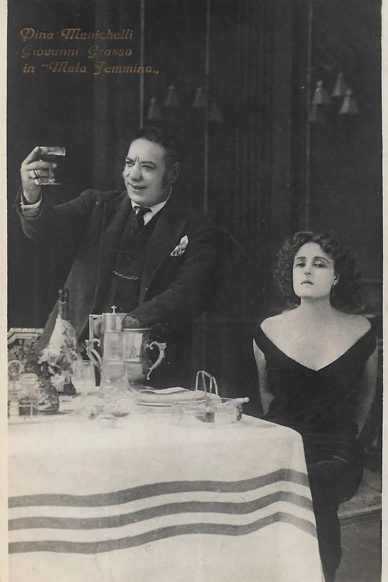 L' ospite sconosciuta poster