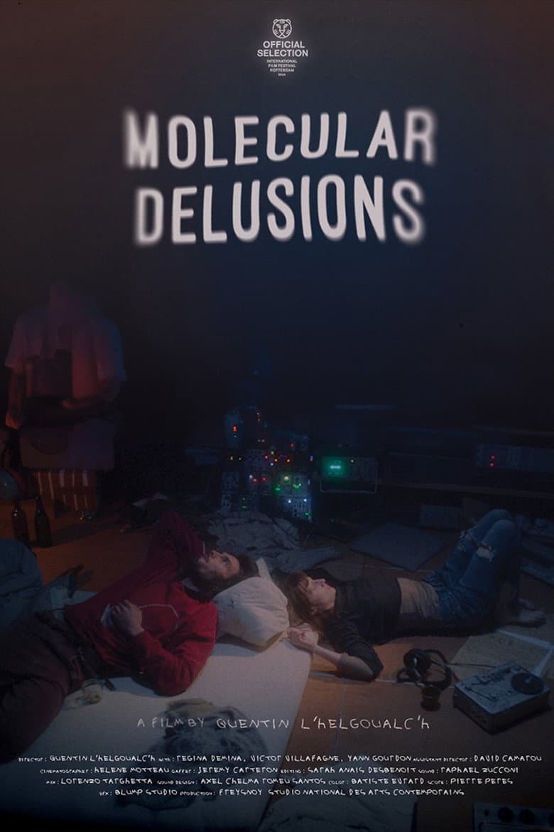 Molecular Delusions poster