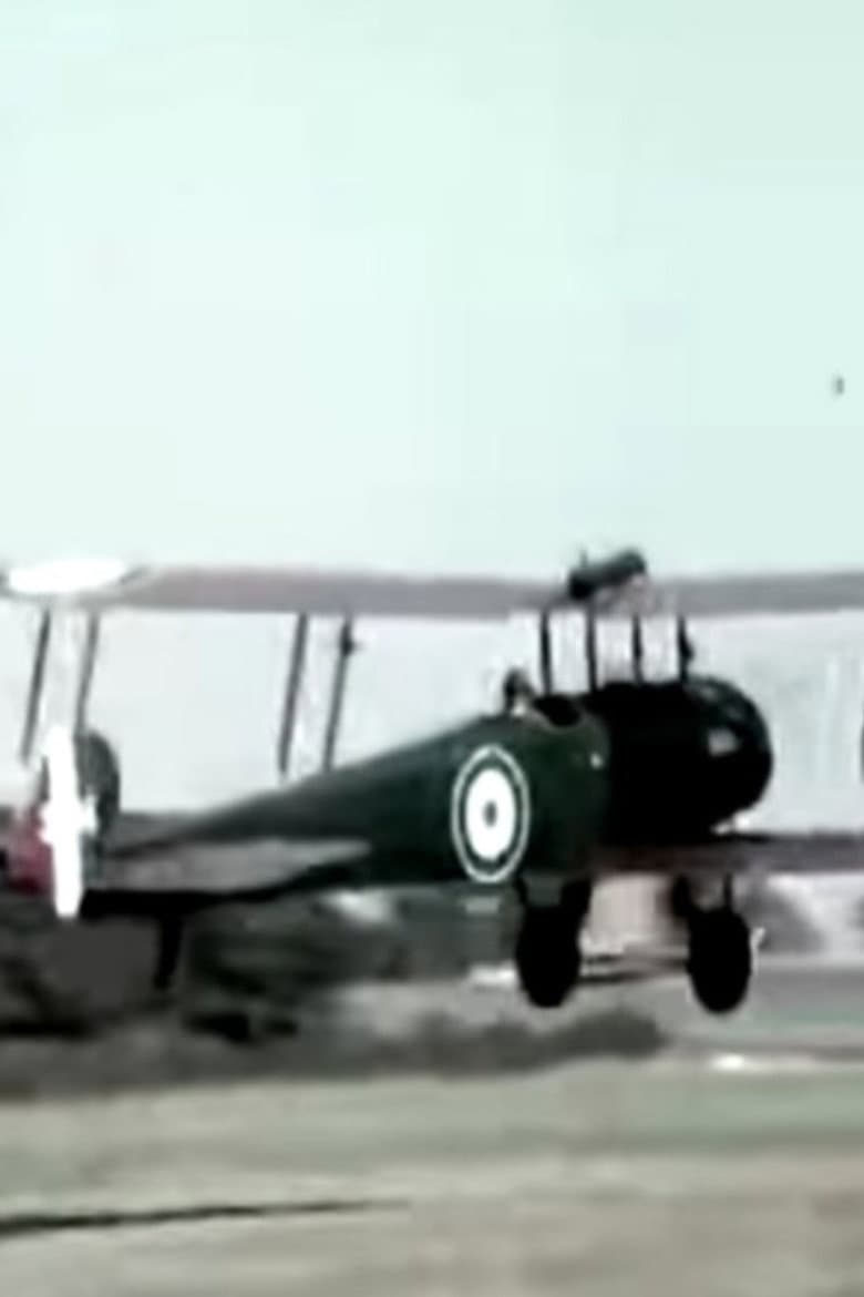 The Wind in the Wires poster