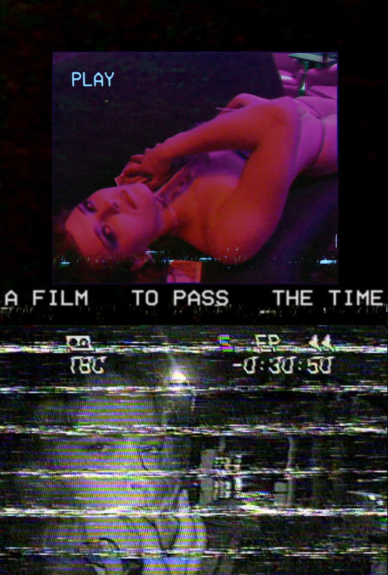A Film to Pass the Time poster