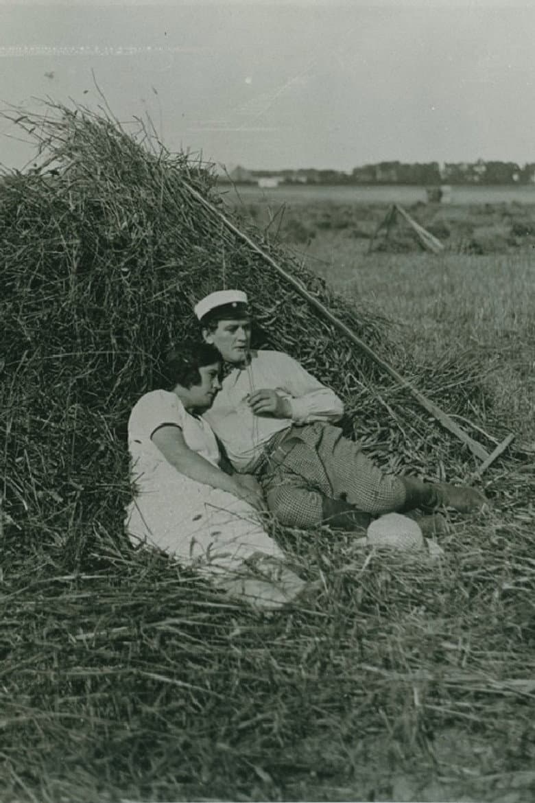 Den gamla herrgården poster