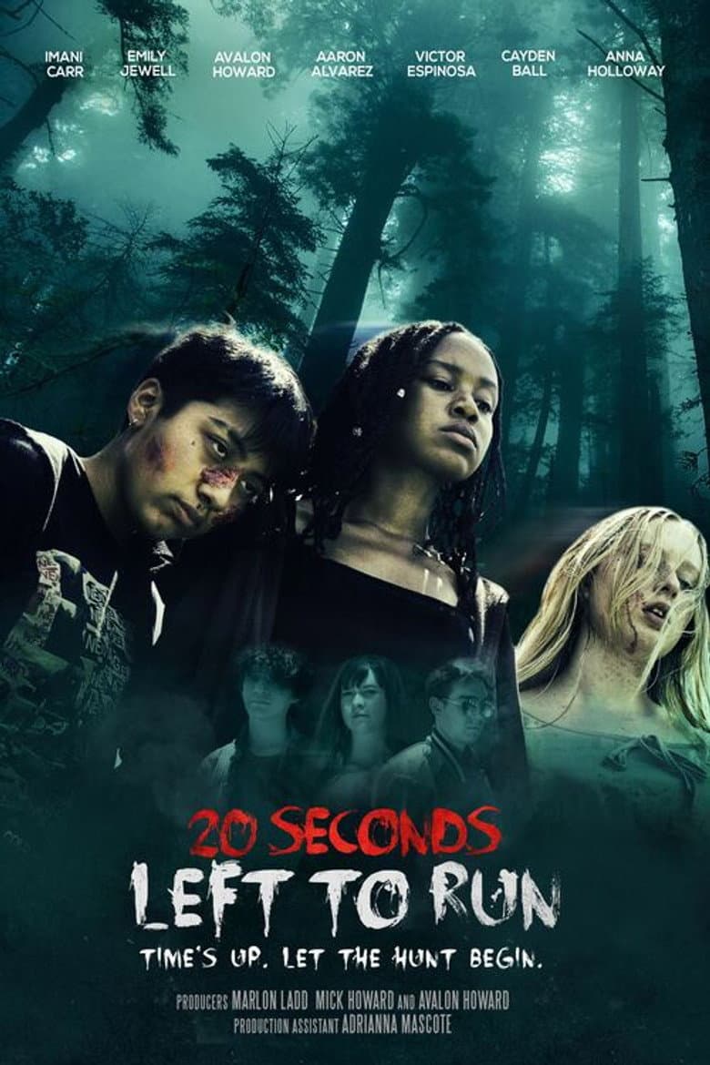 20 Seconds Left to Run poster