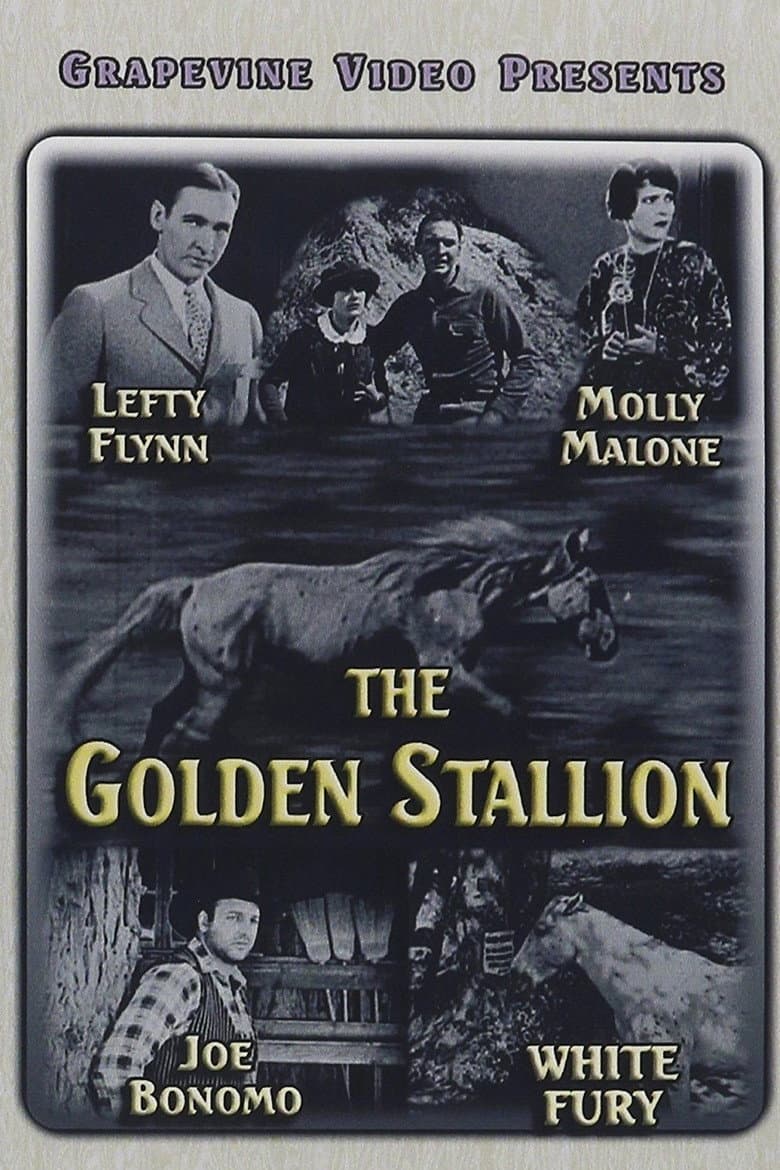 The Golden Stallion poster